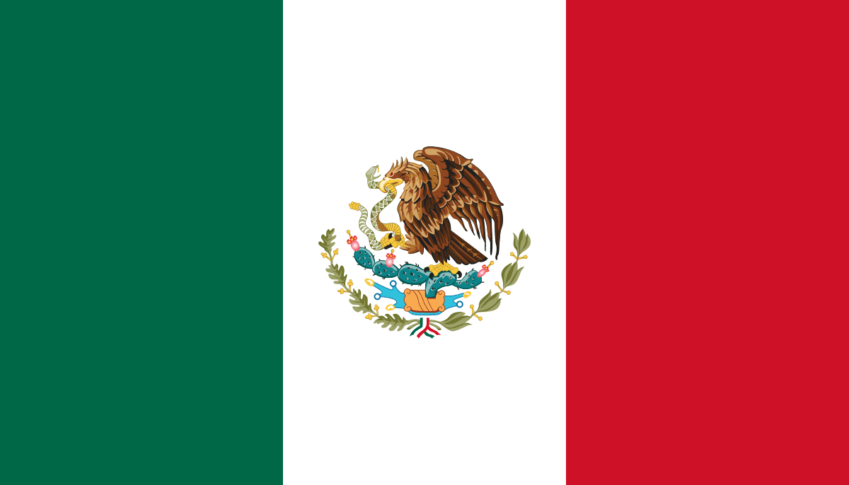 Mexican Single Origin Organic Blend - Image 2