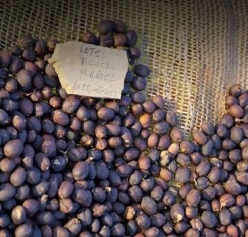 Burundi 100% Arabica Bourbon Single Origin - Image 7