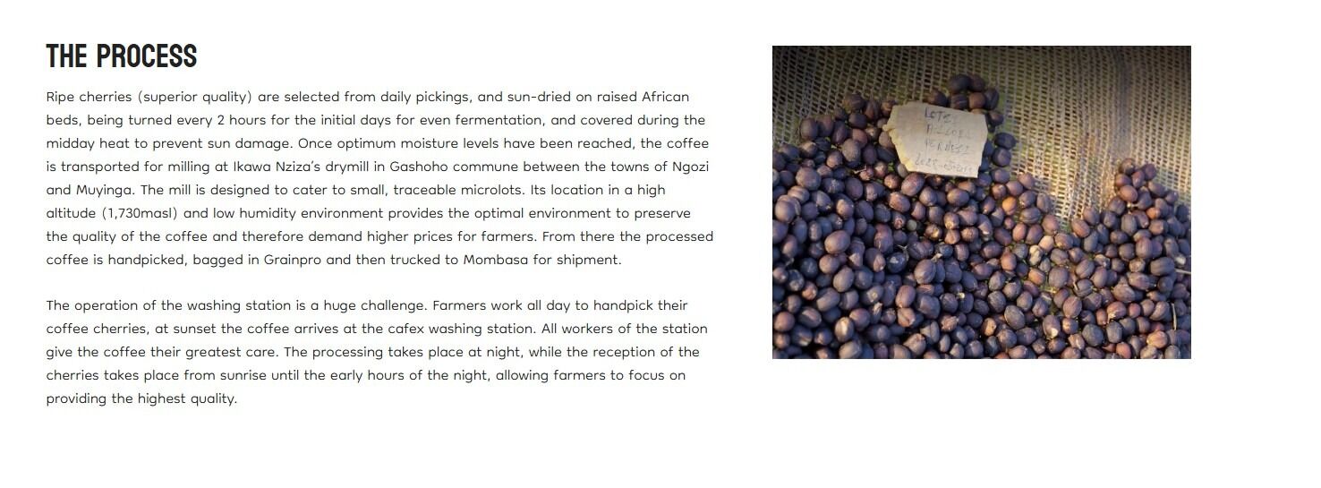 Burundi 100% Arabica Bourbon Single Origin - Image 3